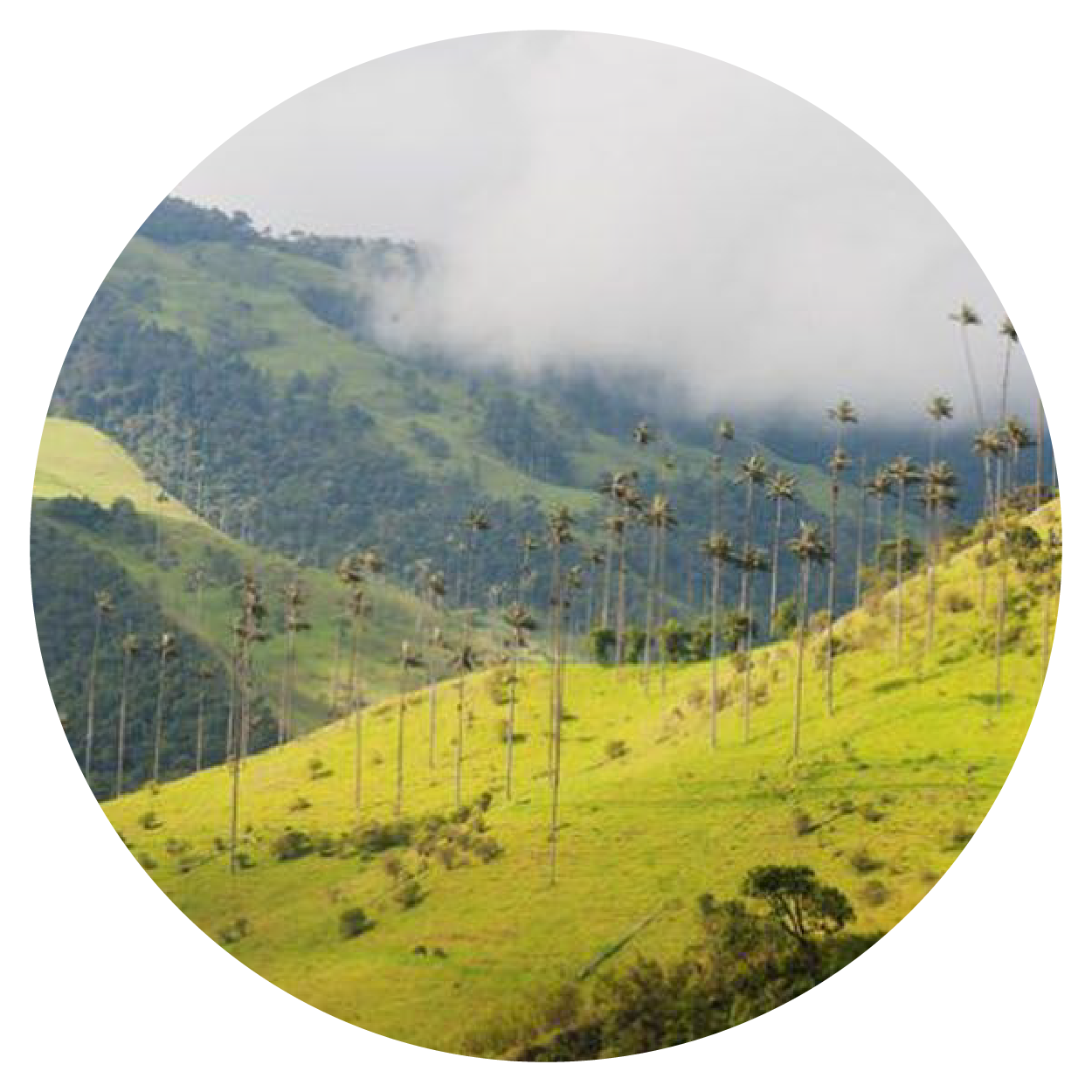 Loventure Event Planner